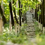 Appartamento Ladurnerhof Boutique *