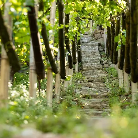 דירה Ladurnerhof Boutique *