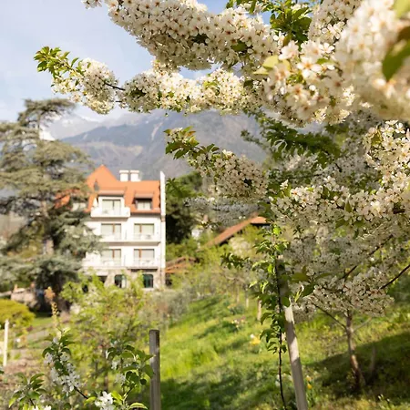 Apartment Ladurnerhof Boutique *