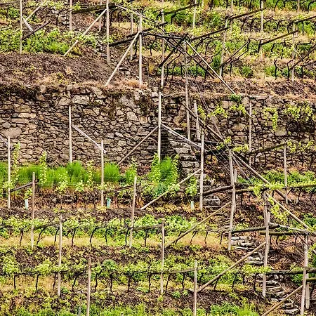 Appartamento Ladurnerhof Boutique Merano