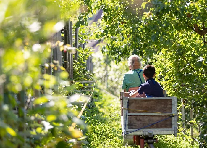 Ladurnerhof Boutique *