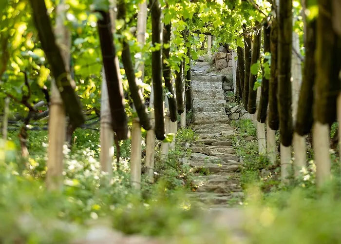 Appartamento Ladurnerhof Boutique *