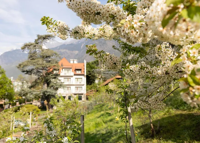 Appartamento Ladurnerhof Boutique *