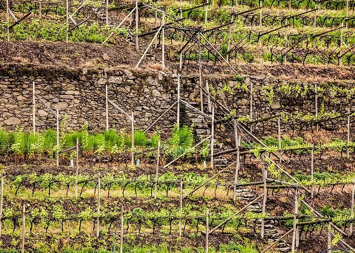 Appartement Ladurnerhof Boutique Merano